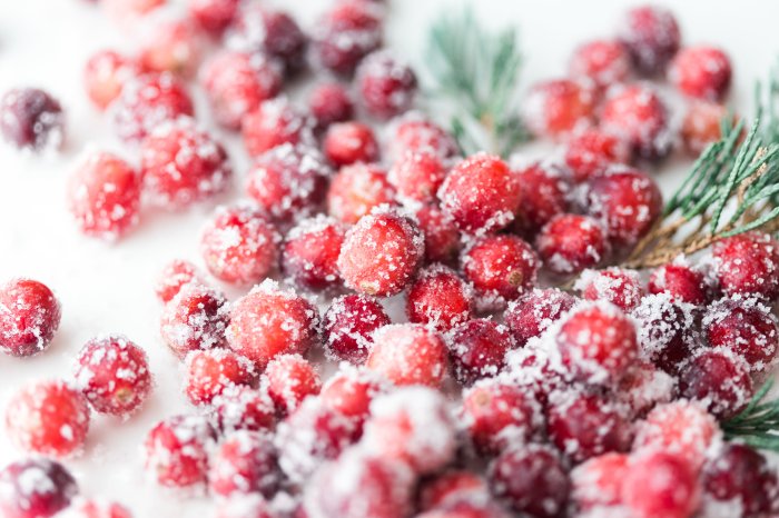 How to make sugared cranberries for decoration